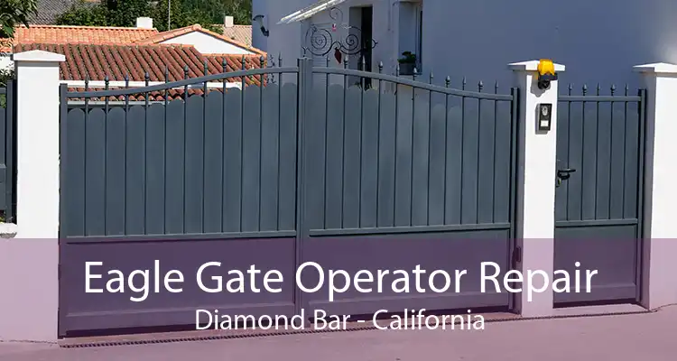 Eagle Gate Operator Repair Diamond Bar - California